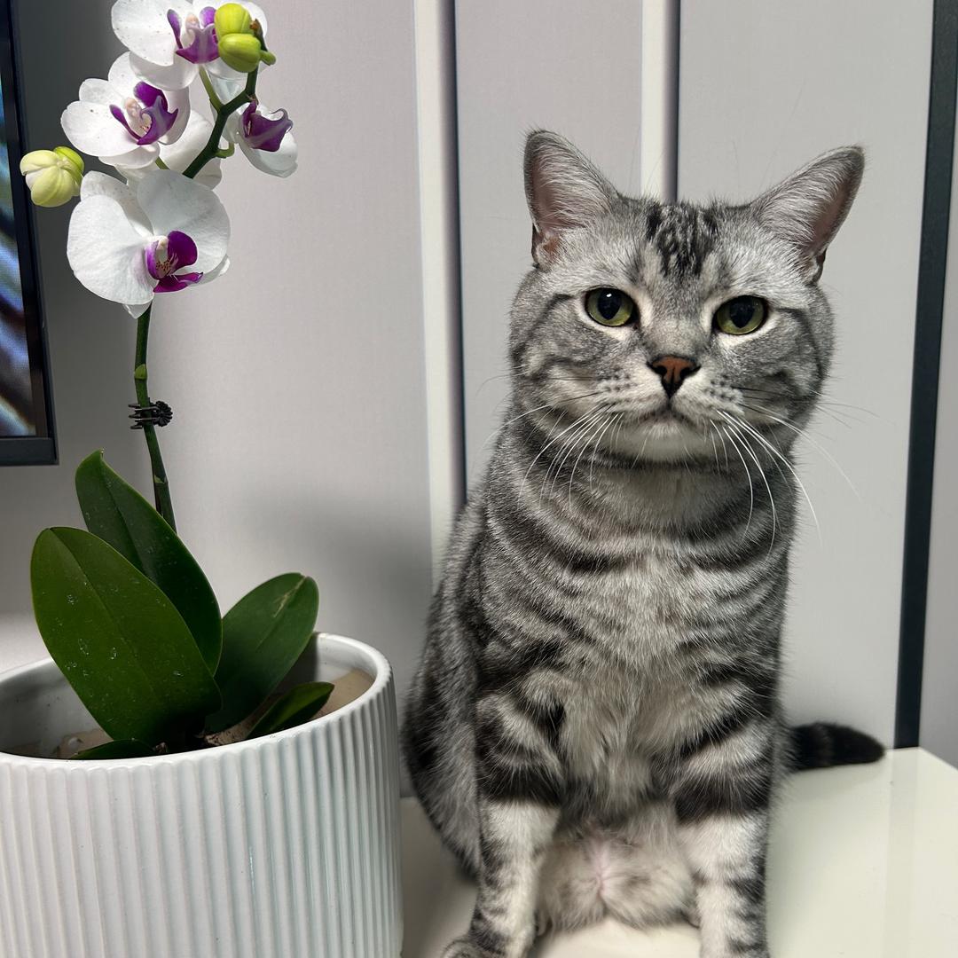 不听话就是小兔崽