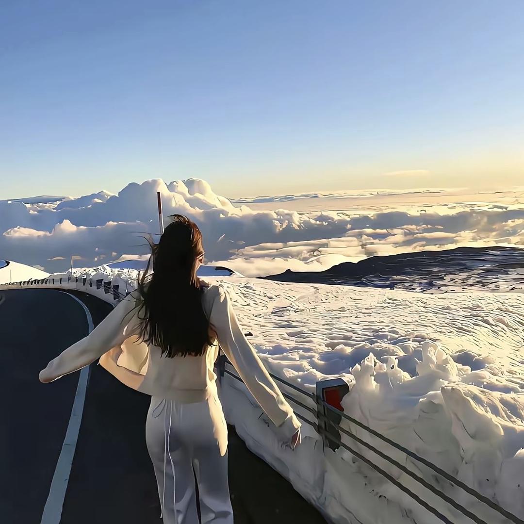 尚邦乐厨房日用旗舰店