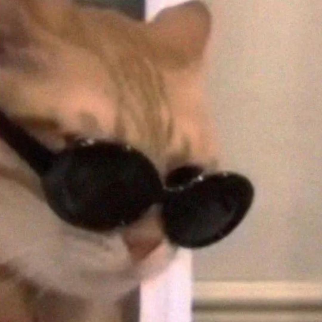 木木的海报实验室