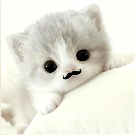 柒。