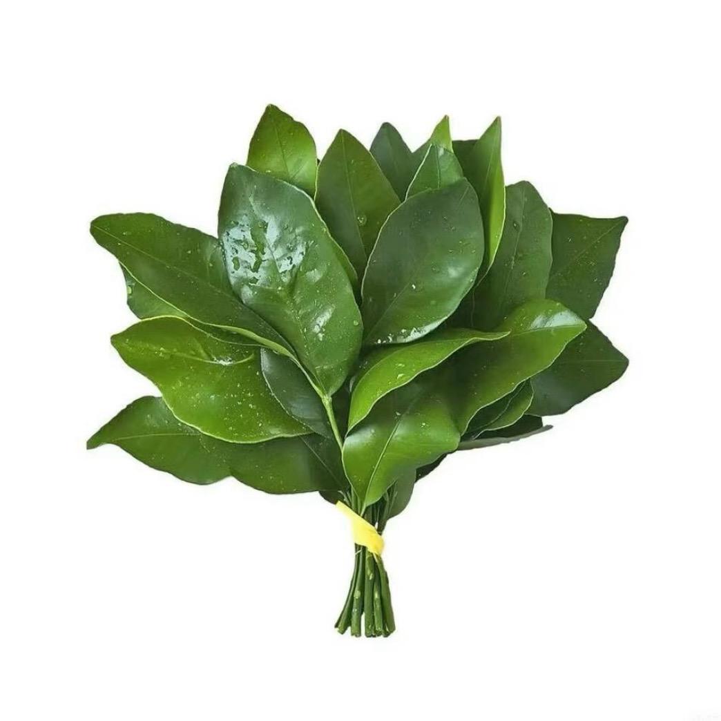 Rousi.