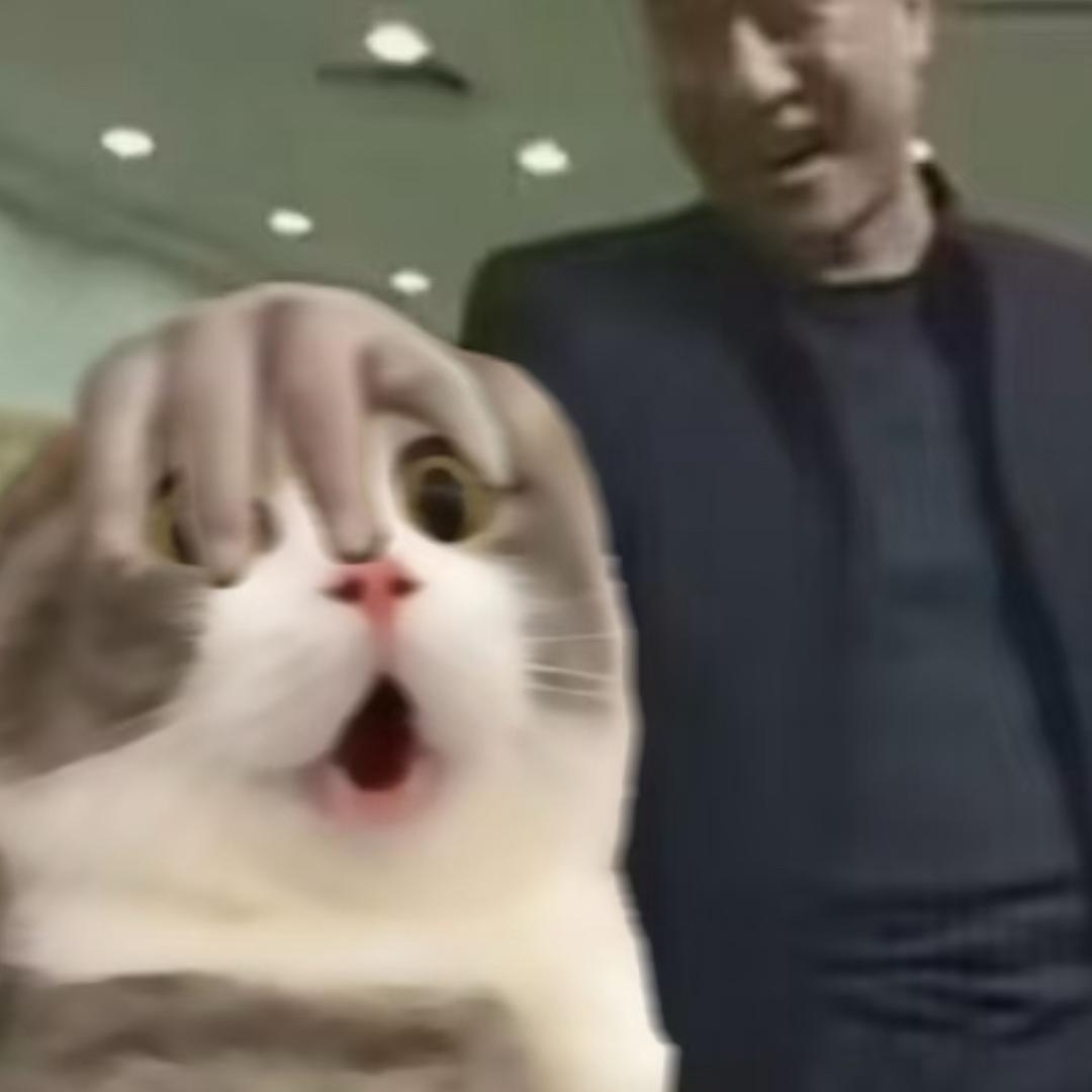 幸福的土豆（明日之后版）