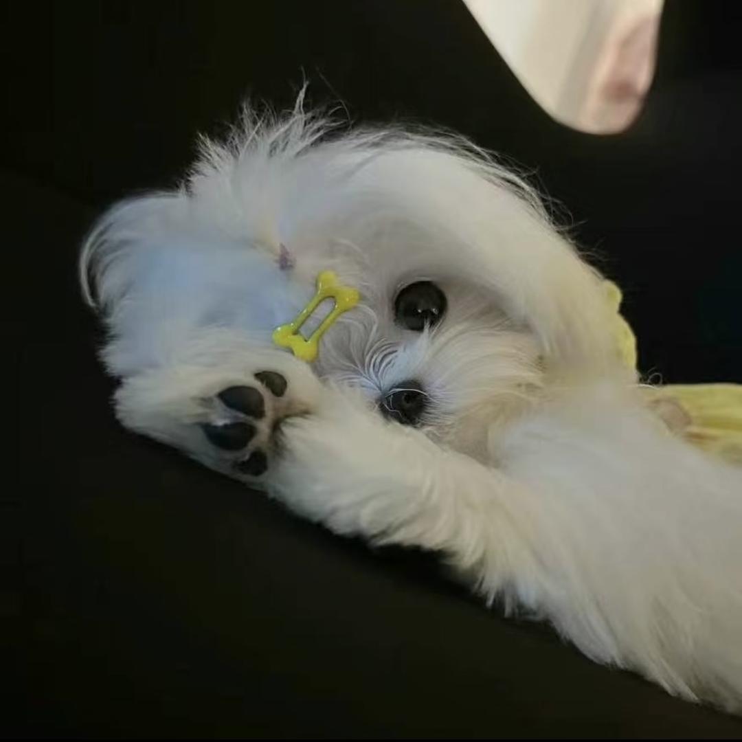 小楠爱晚睡_