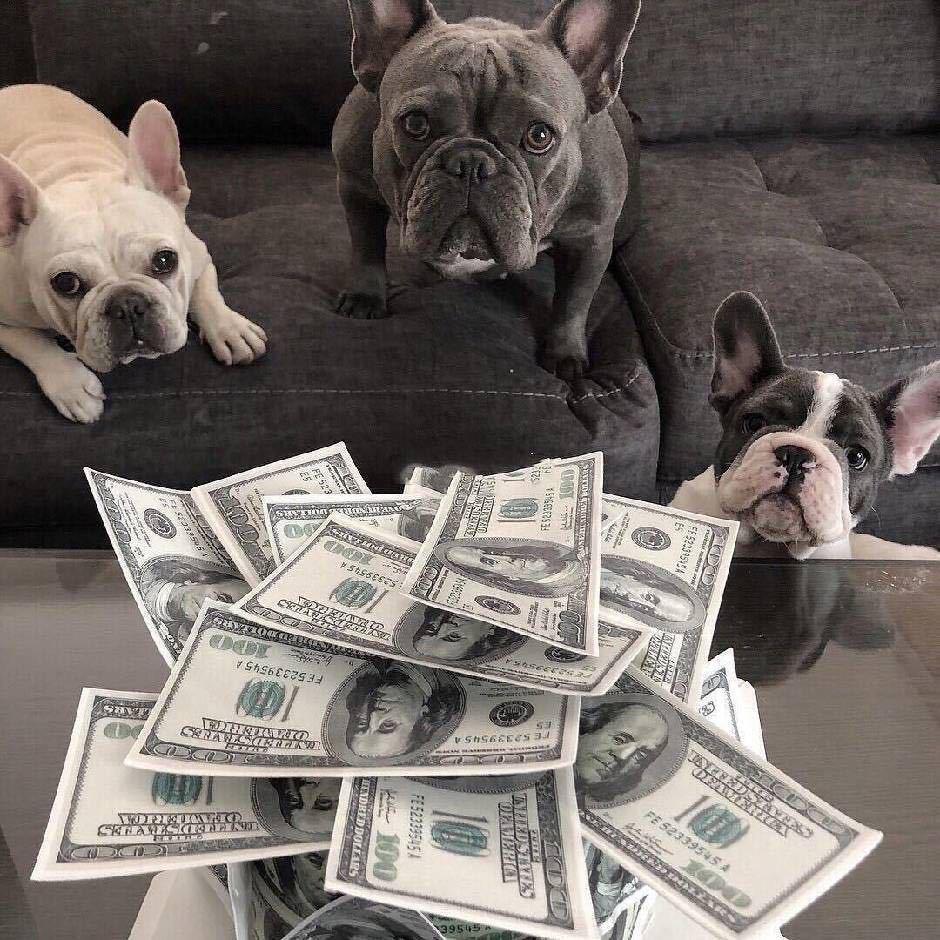 花哥哥PUBG（租赁看主页）