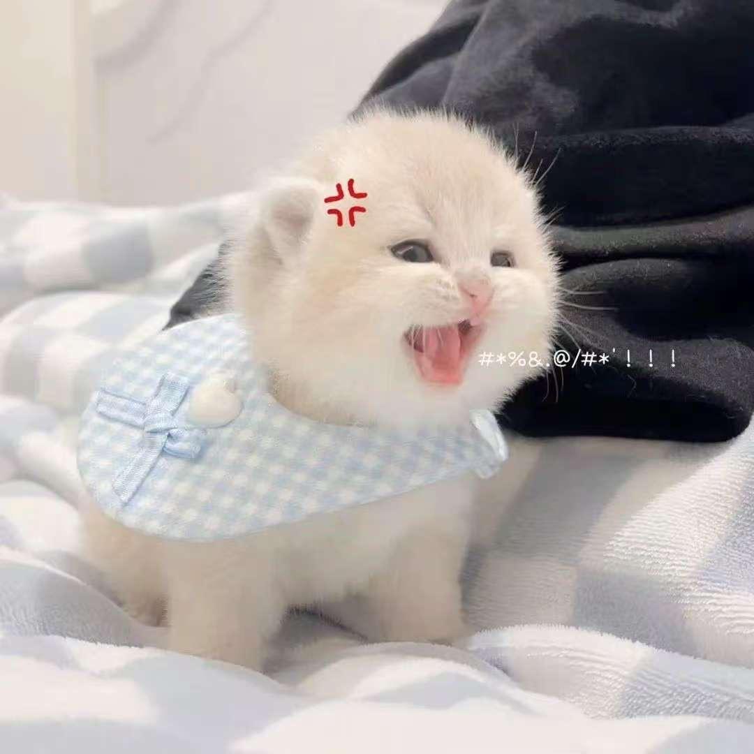 尤