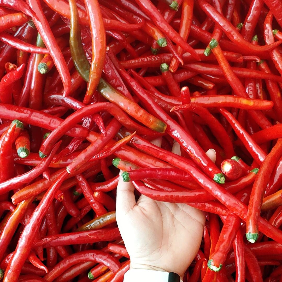 贵州云上灵动趣学教育发展有限公司