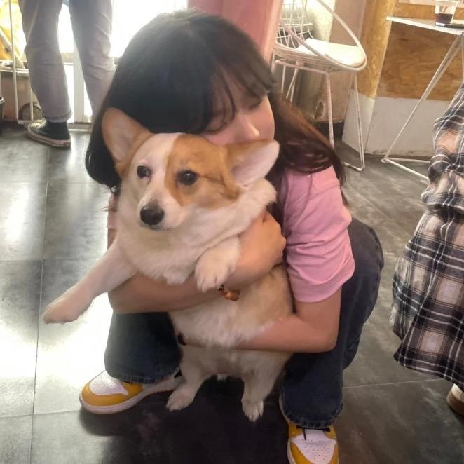 海盐芝士吐司