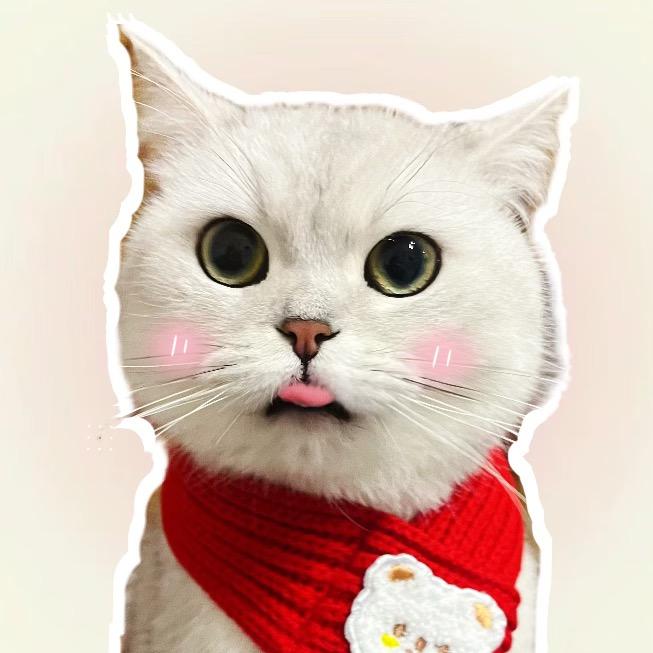 小摆摆