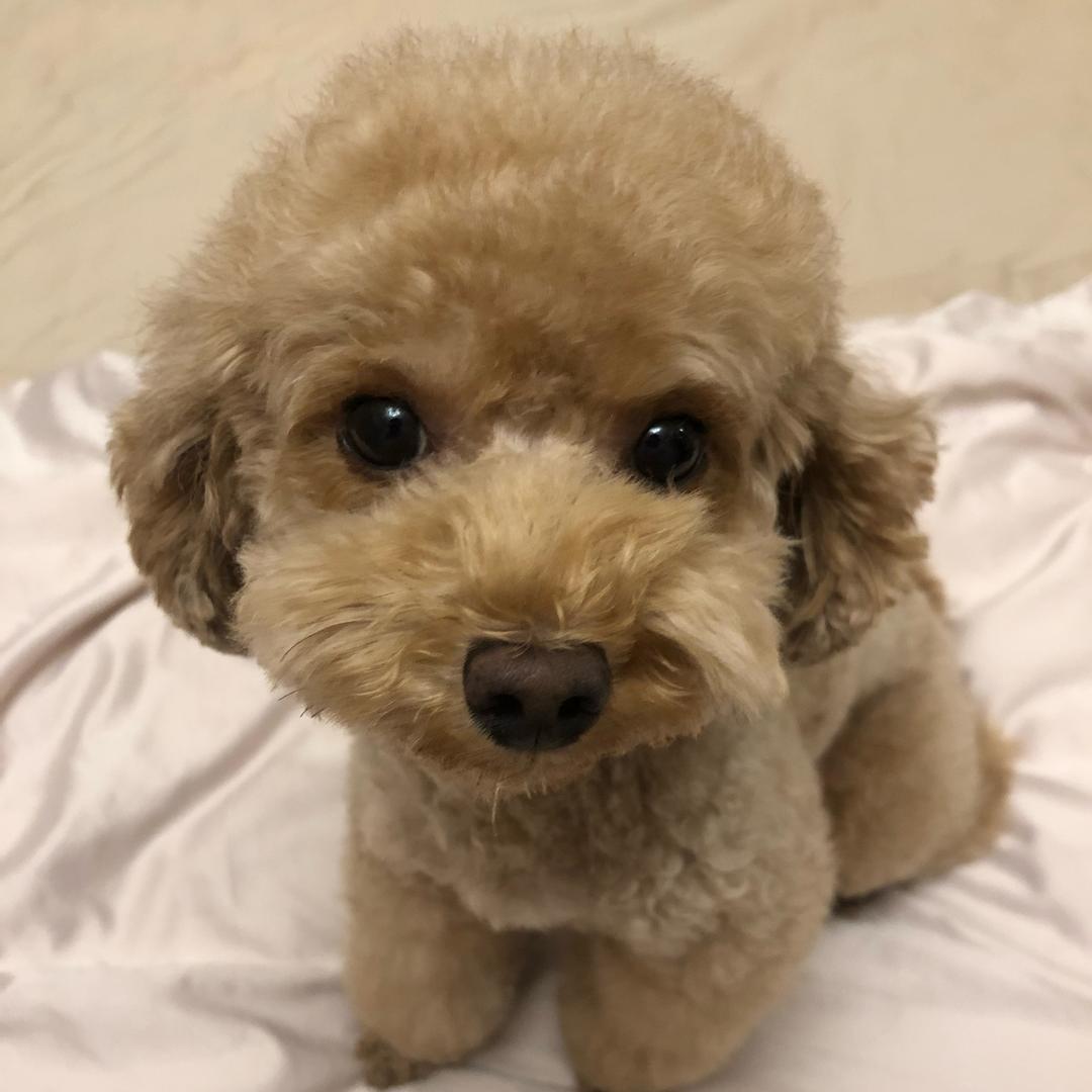 陈颢