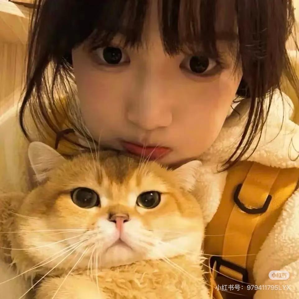 番茄鱼.