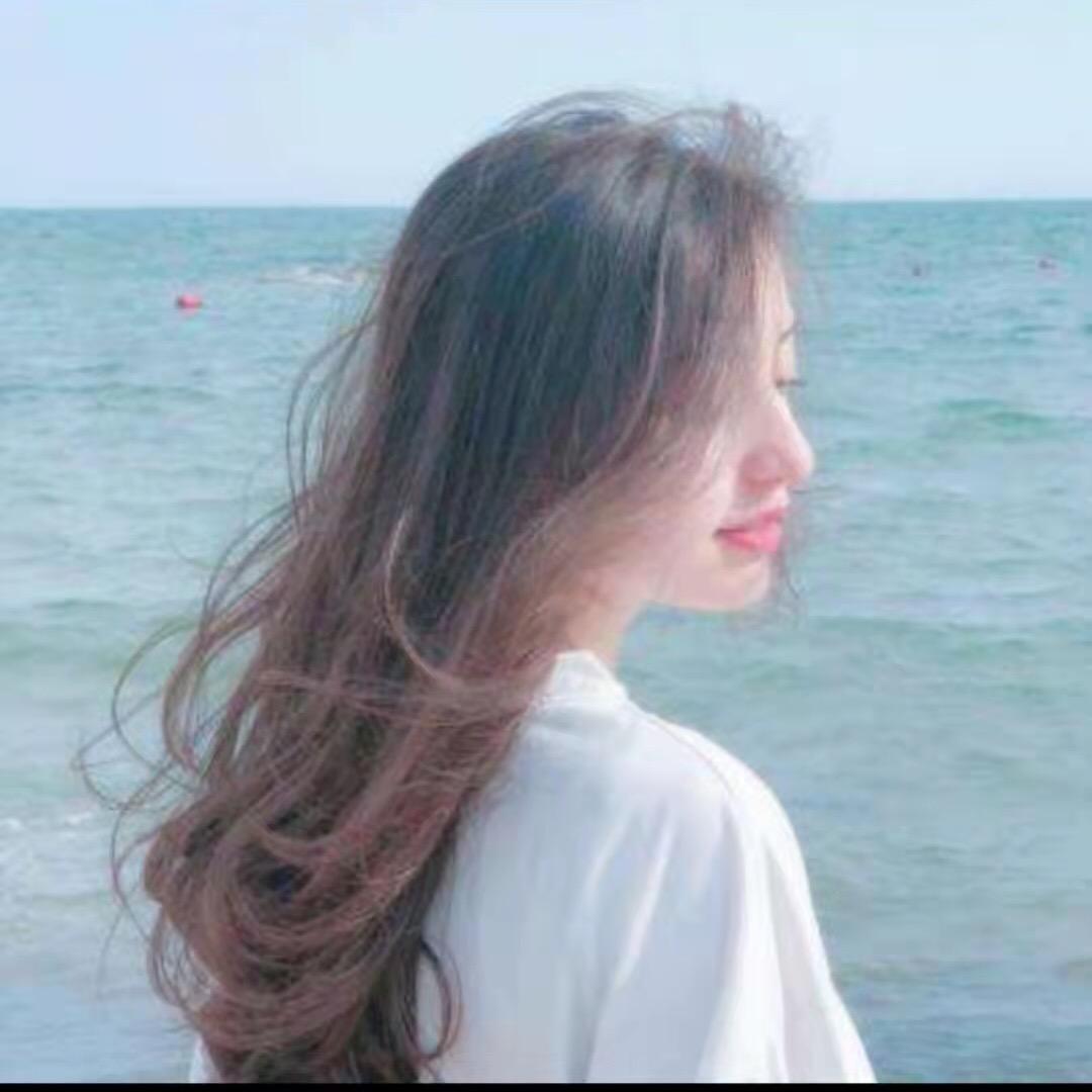 沙仑玫瑰