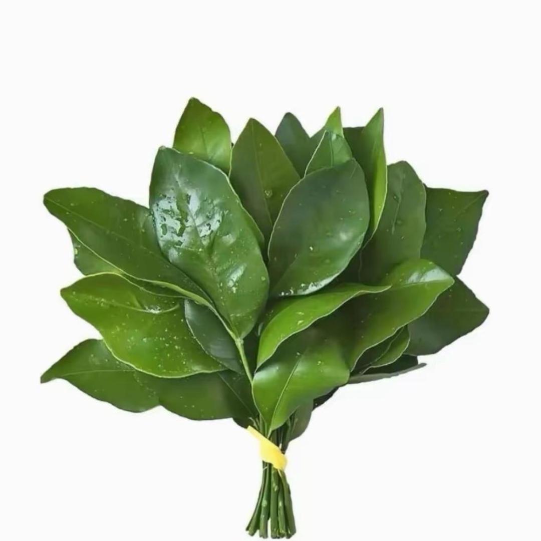 记忆中的神