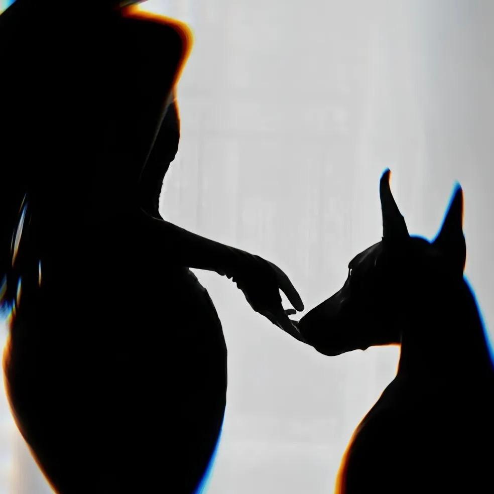 你不理我我睡觉！