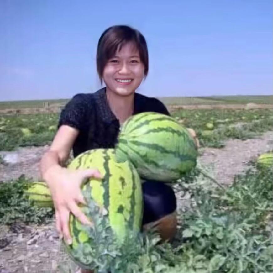 沃尔丰农资阿明