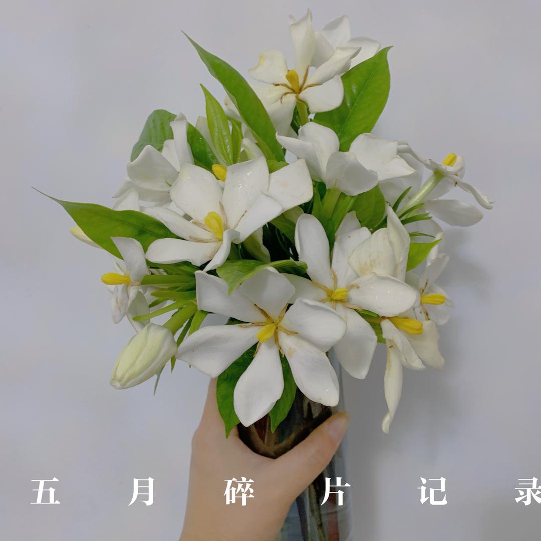 陈梓涵小朋友阿