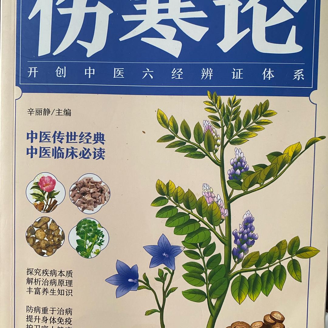 命中注定天使79174400979