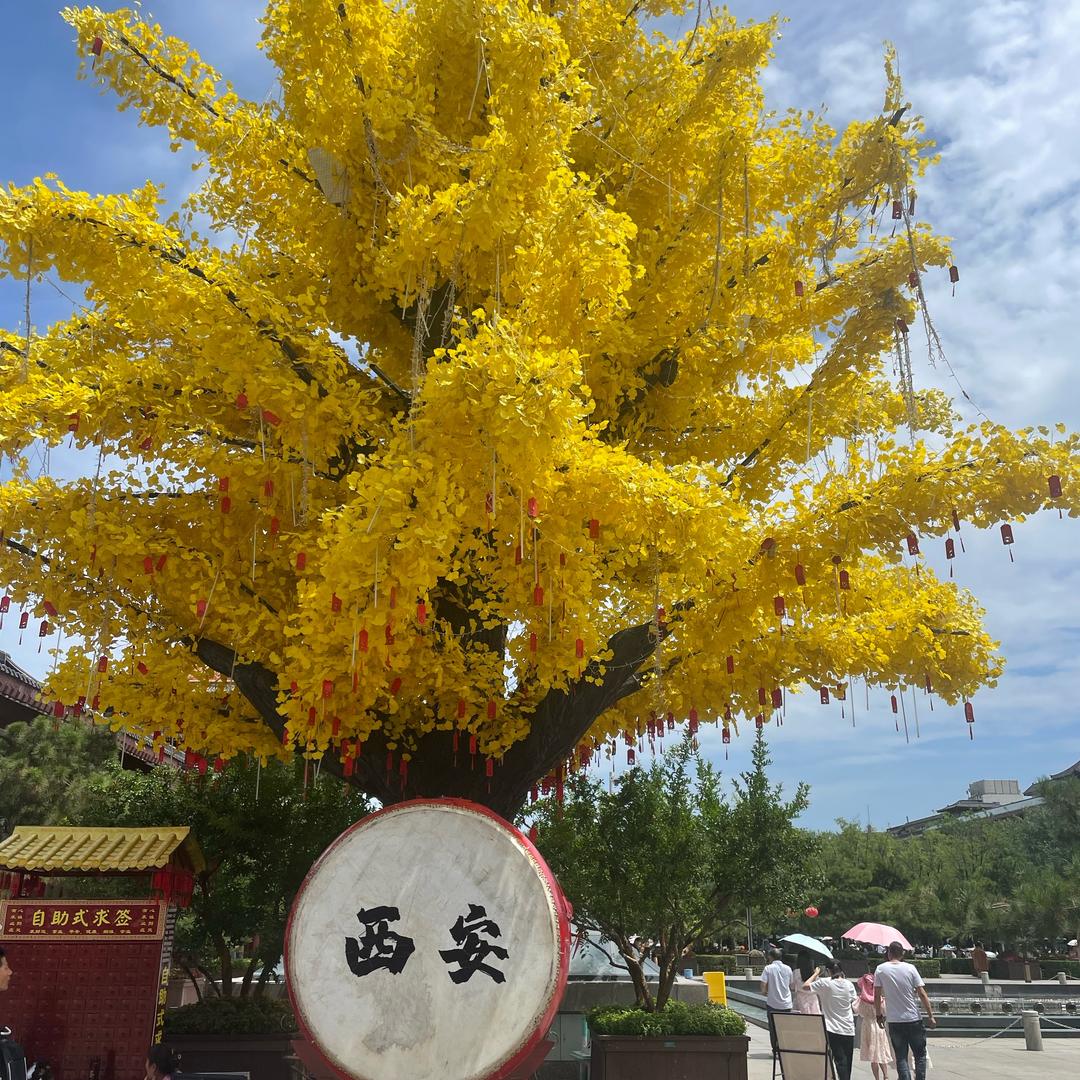 邢宾塑业购销各种吹塑低压蓝桶透析桶箱子等