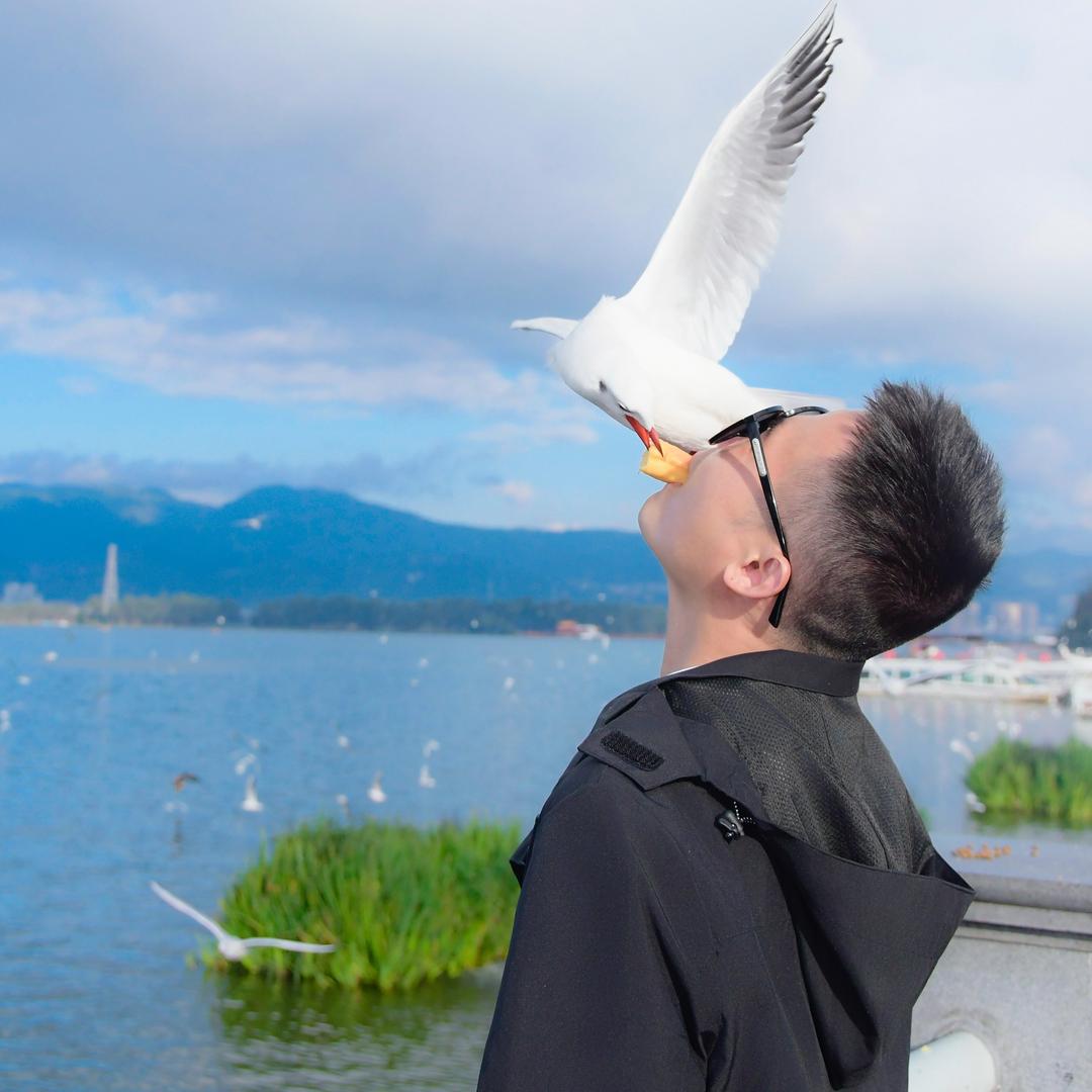 升学指导廖老师