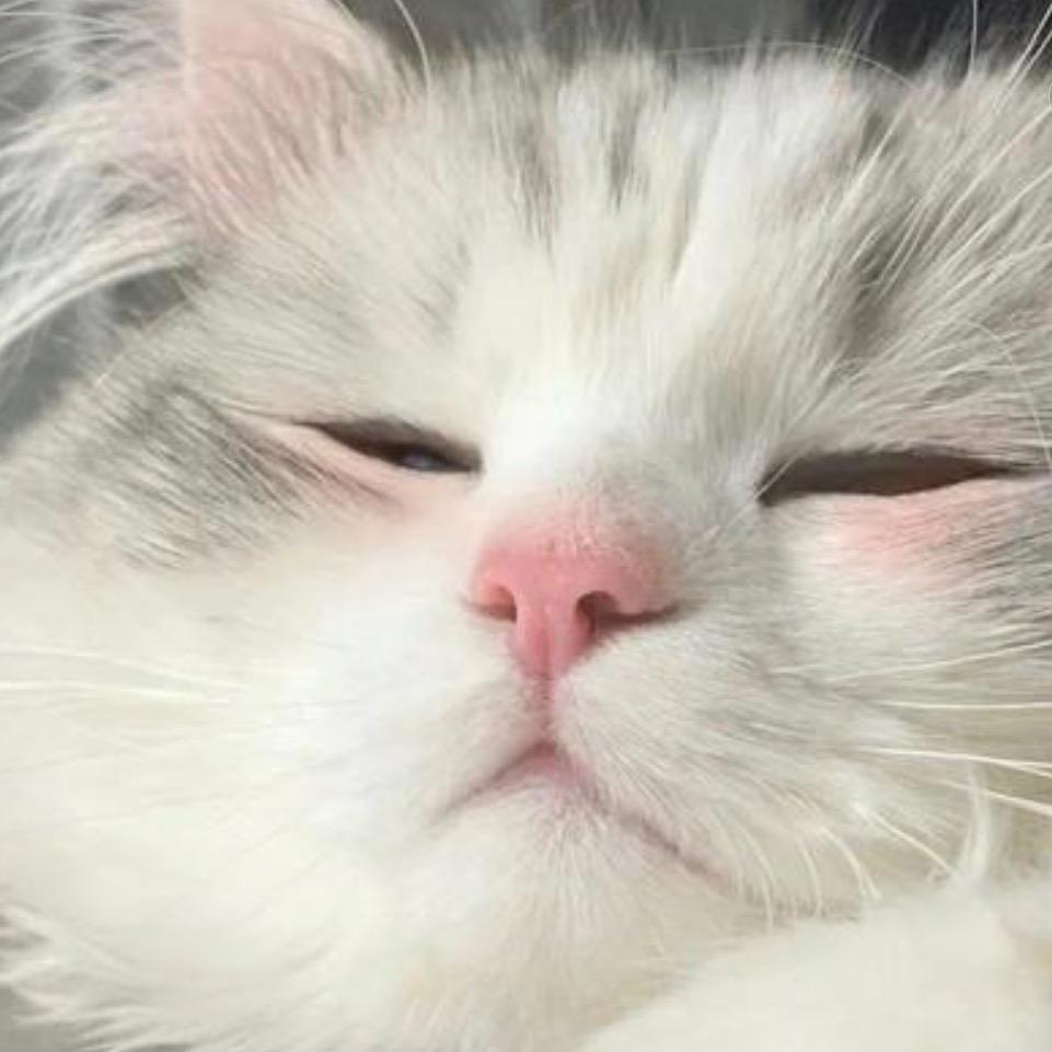 ……真的很无语吧