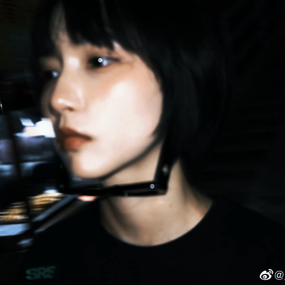 离家出走的猫