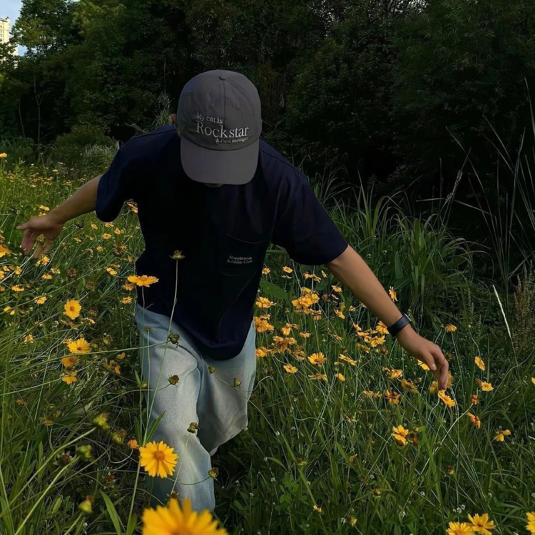 做个傻子或许更多福、