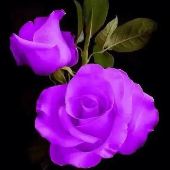 一切尽在不言中…