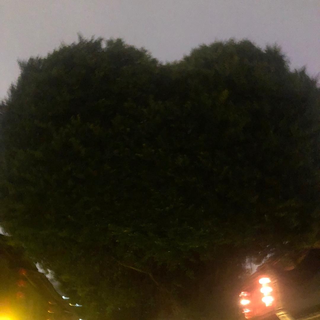 ———