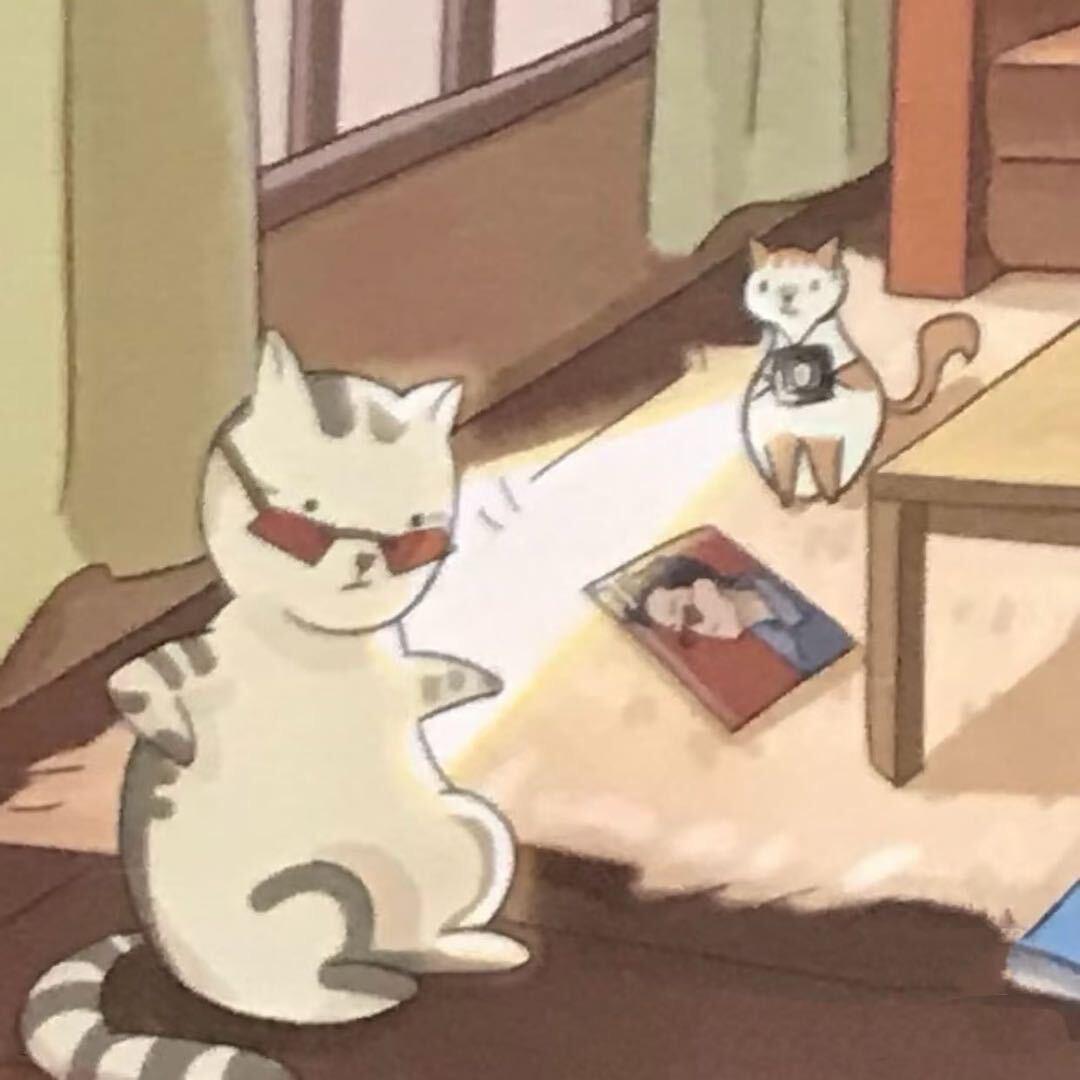 243