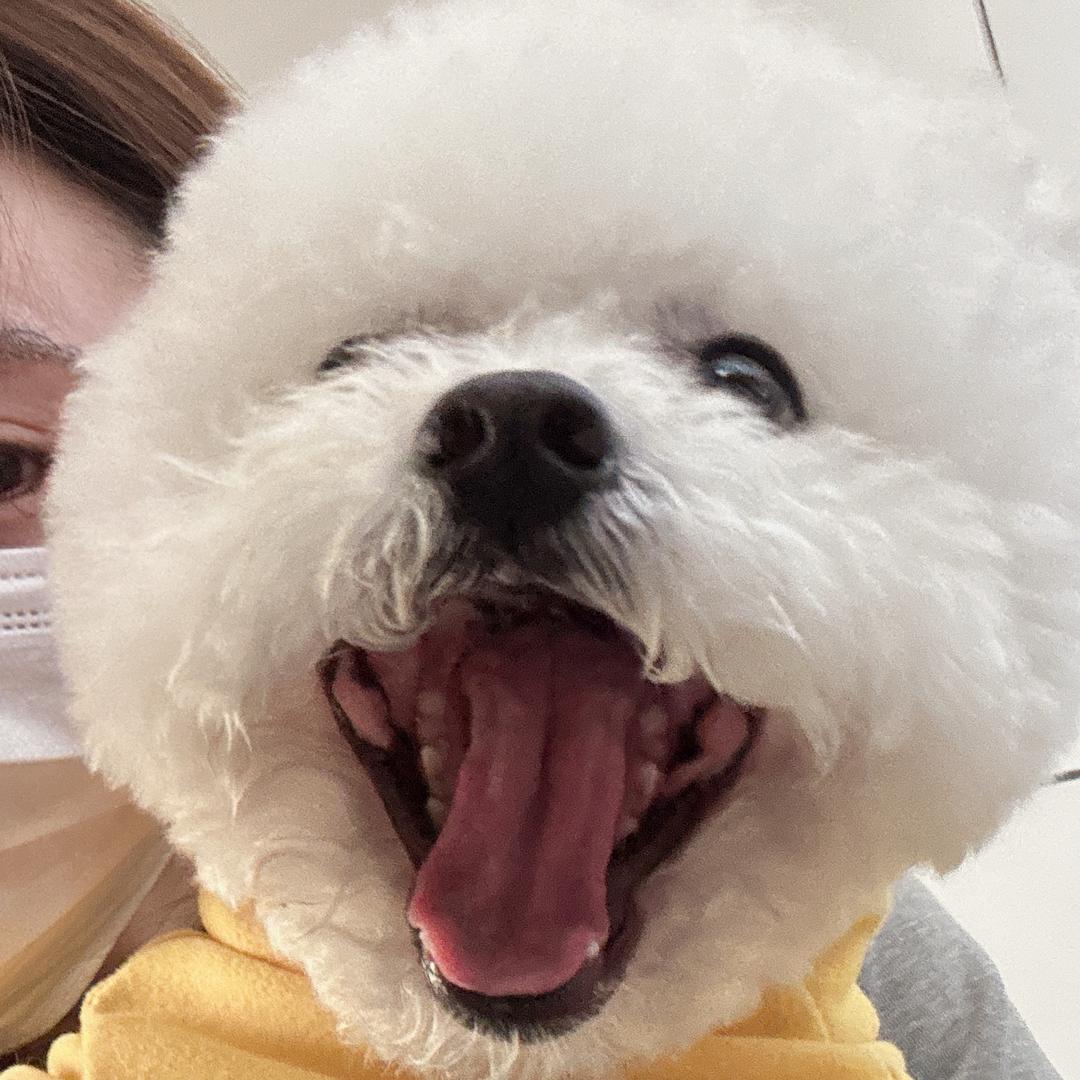 酱紫哥