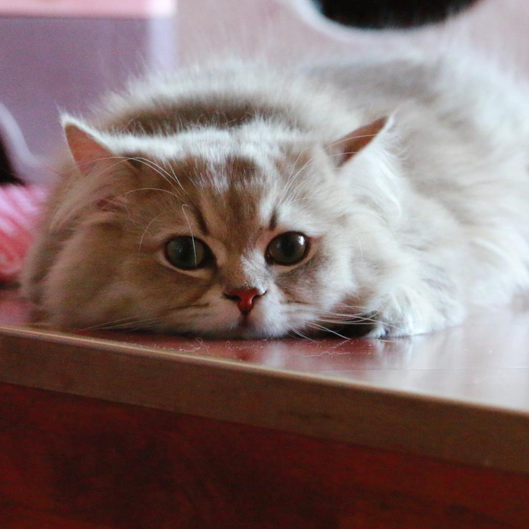 ꧁༺๑诱惑๑༻꧂