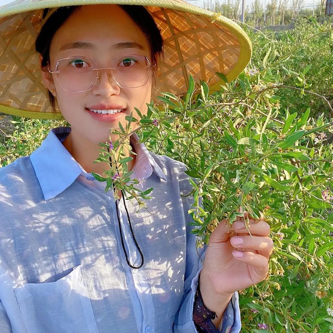 杨小柒