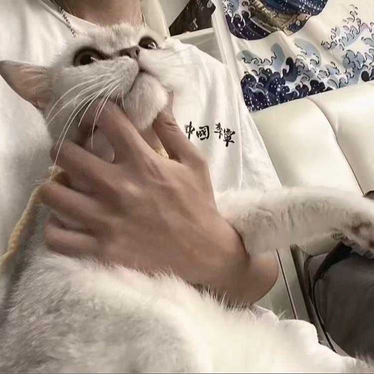那就早点睡.