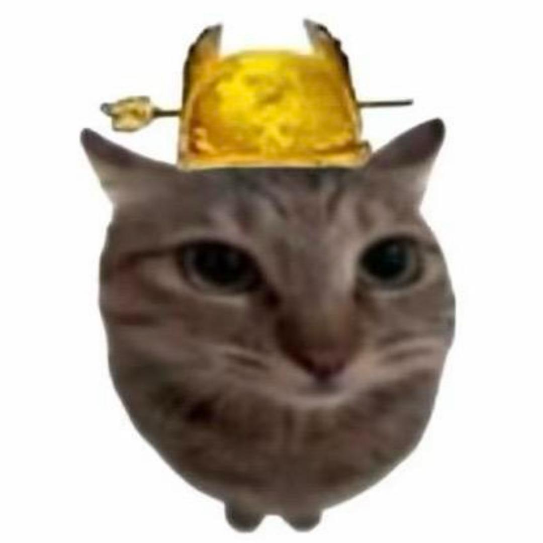 鱼籽锐.7