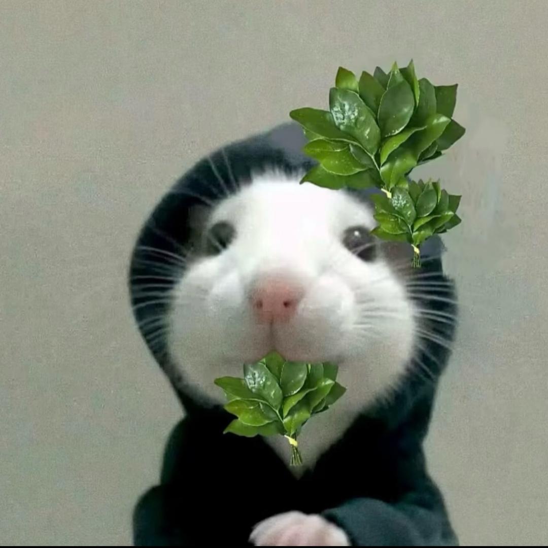 ㅤㅤㅤ   ㅤㅤㅤㅤ