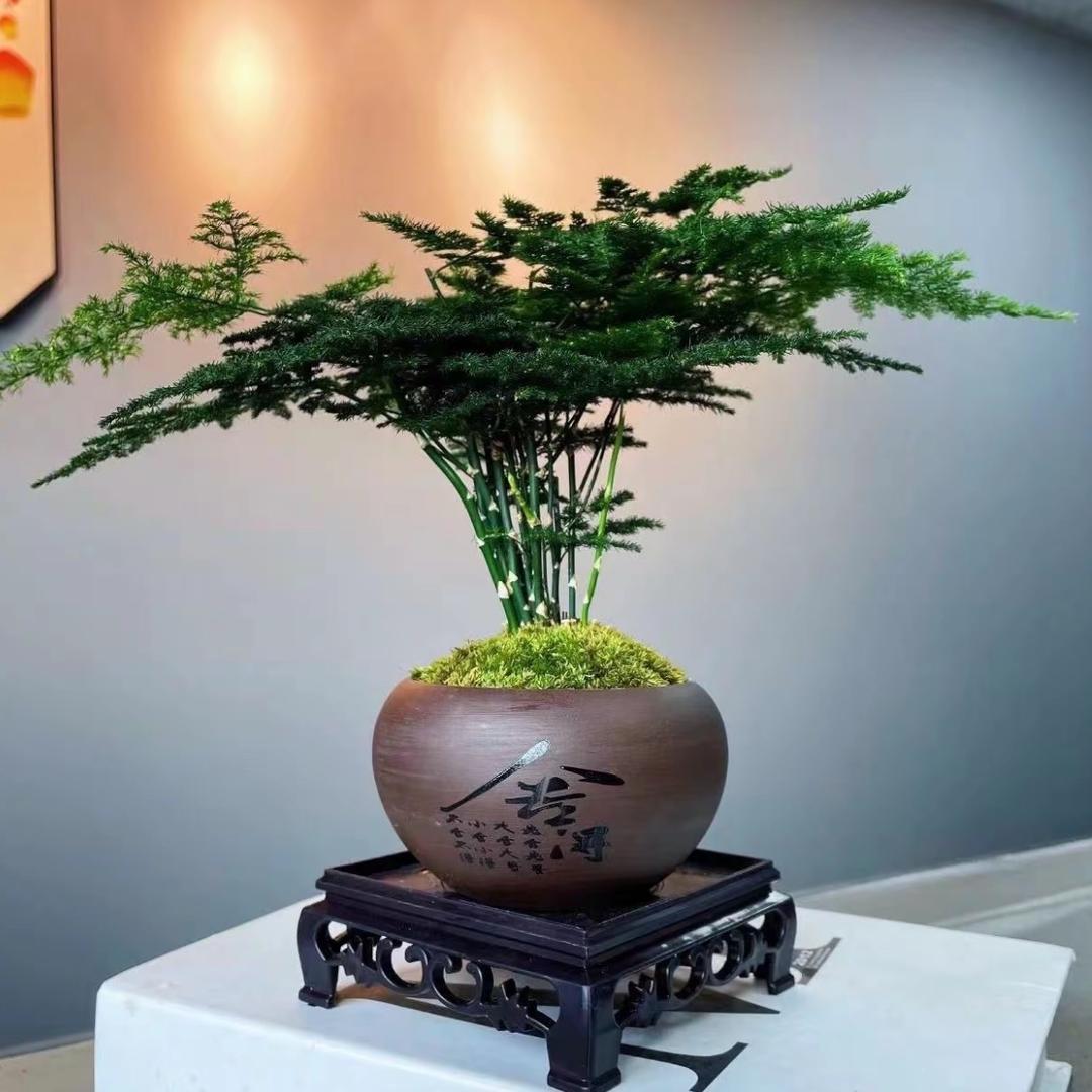 十里花卉
