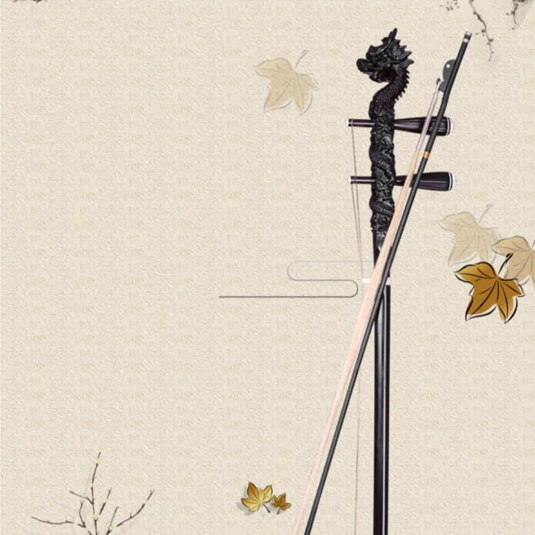 佳佳♥️越胡 二胡教学
