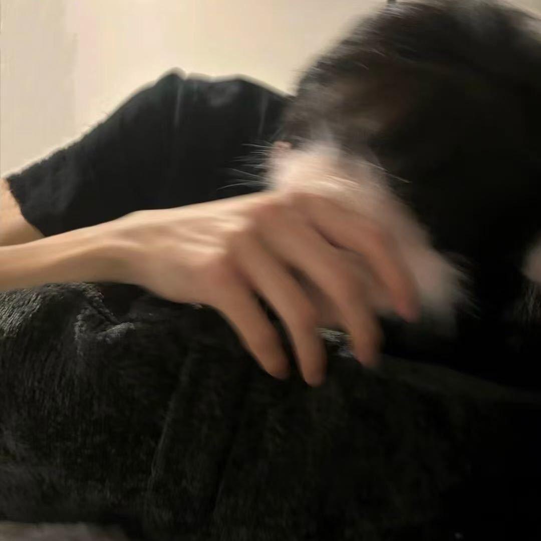 DL钟意