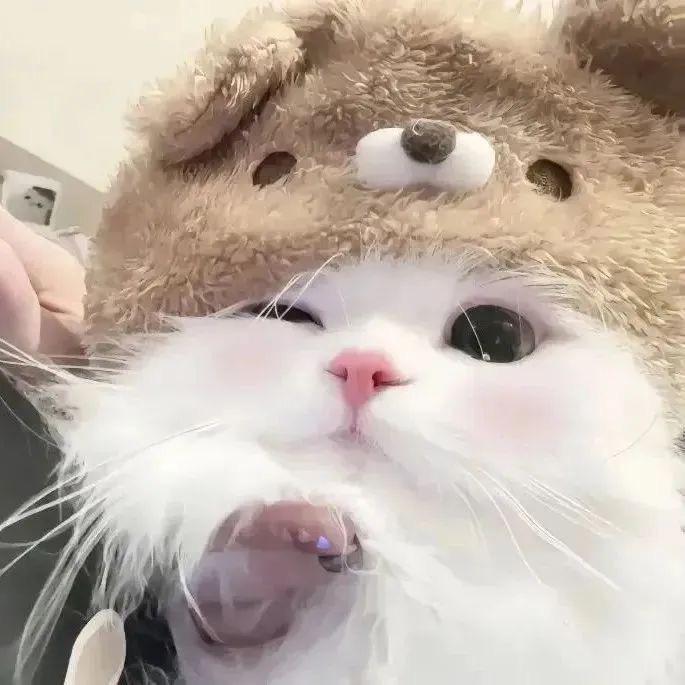 璇暄