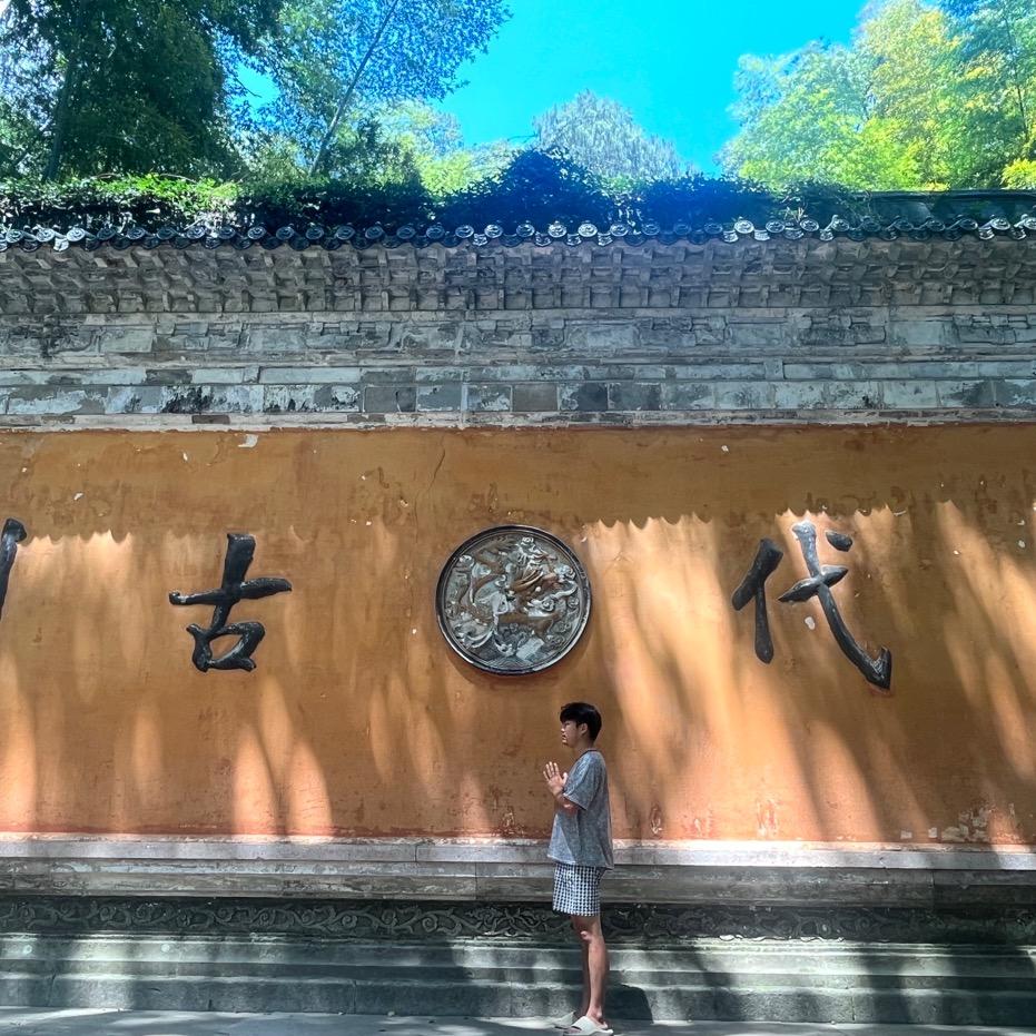 逆流的鱼
