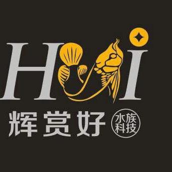 辉赏好水族鱼缸工艺厂