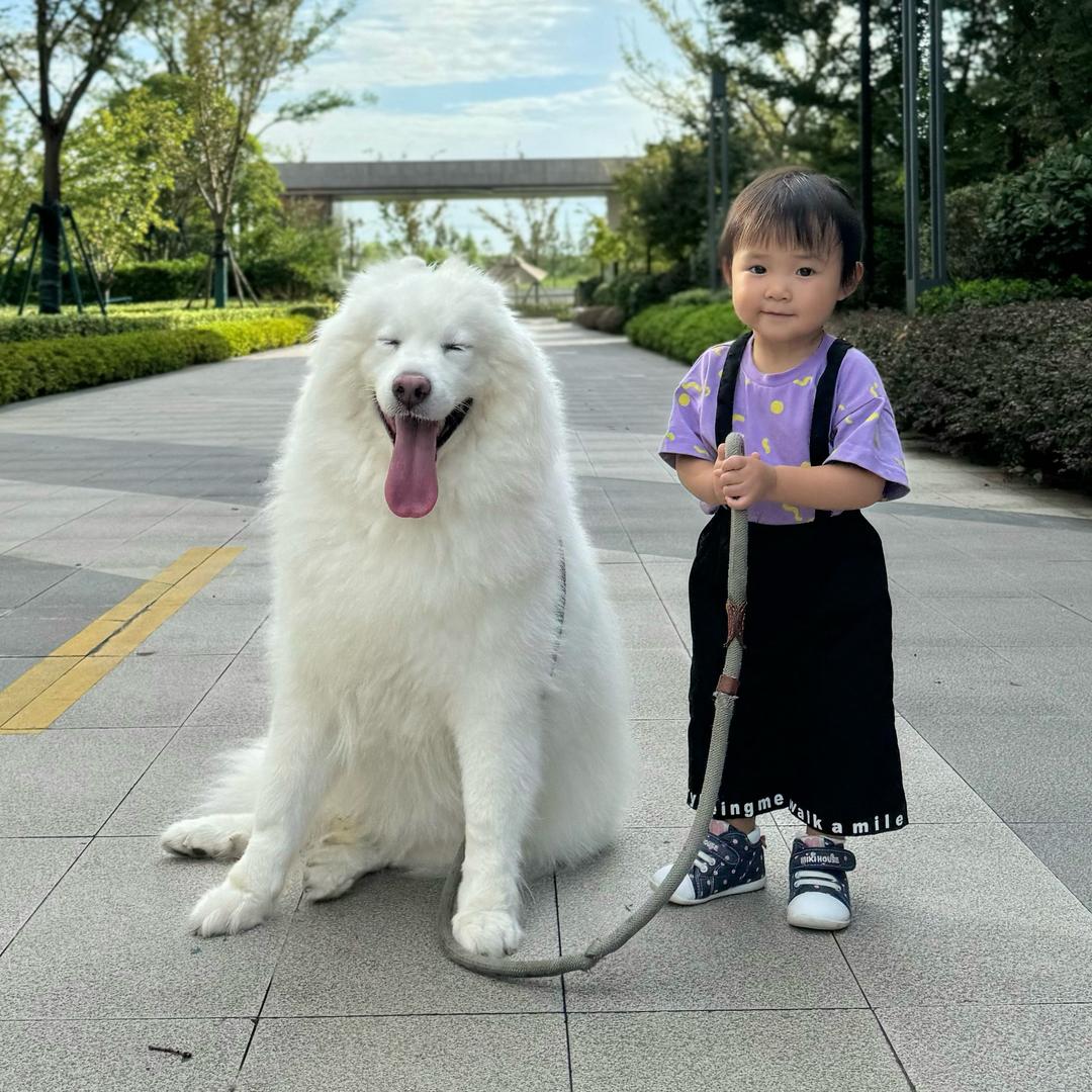 讲上海话的瑶瑶（3岁）