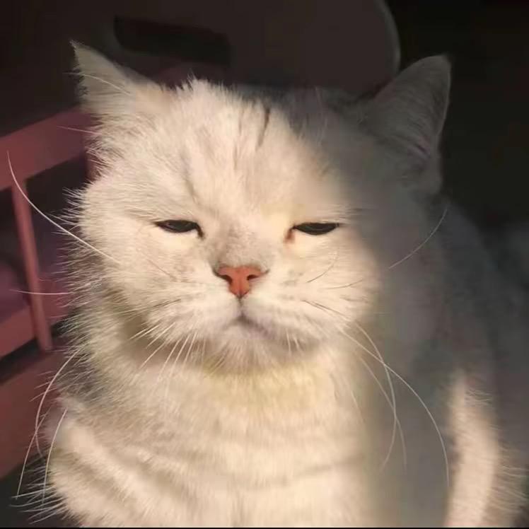 华仔.