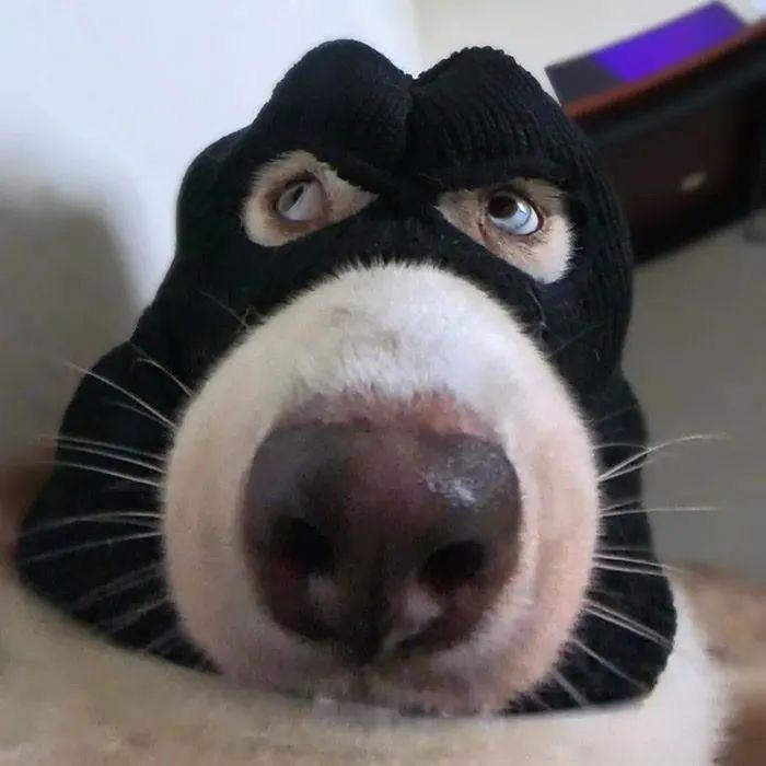 闪