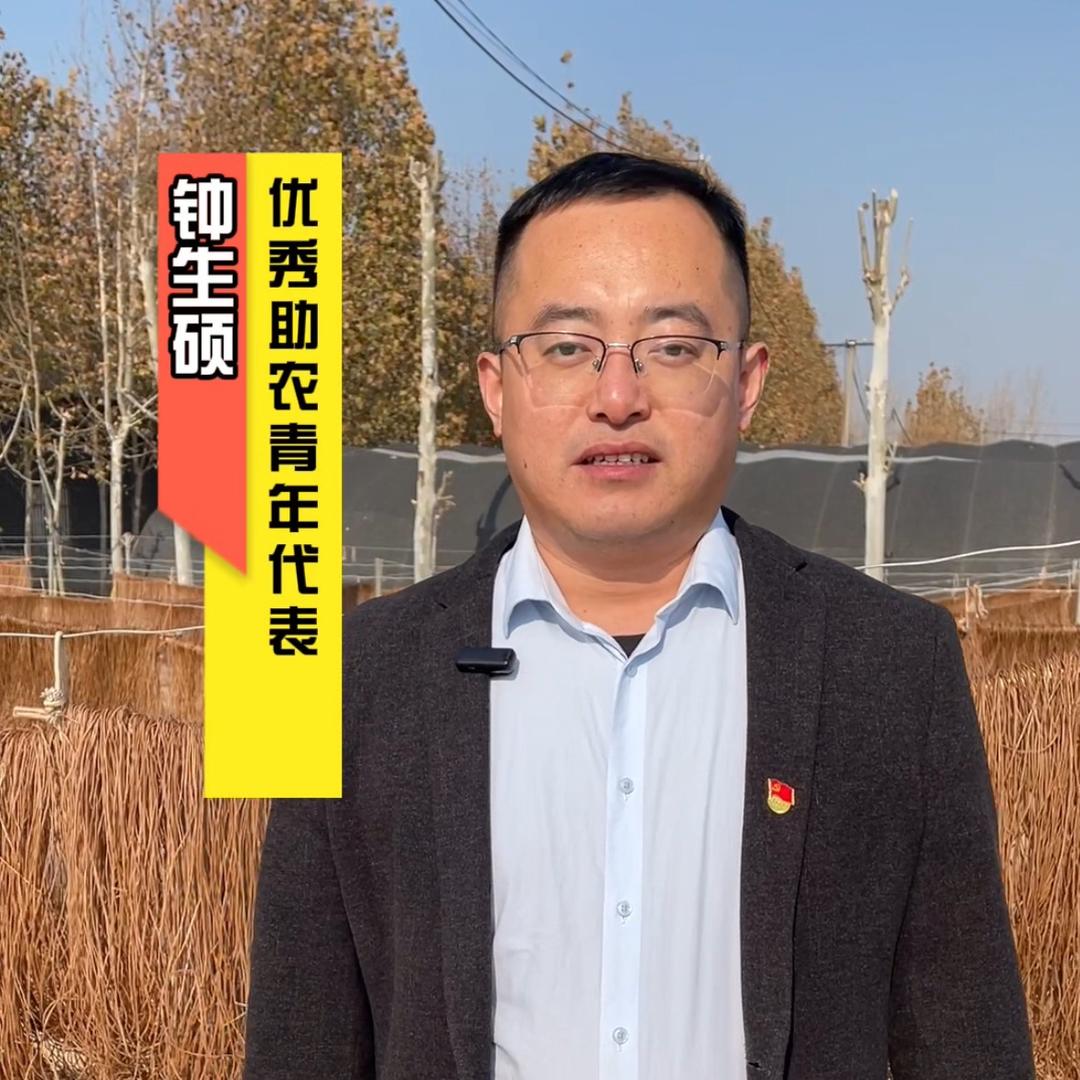 红薯粉条（乡村助农）