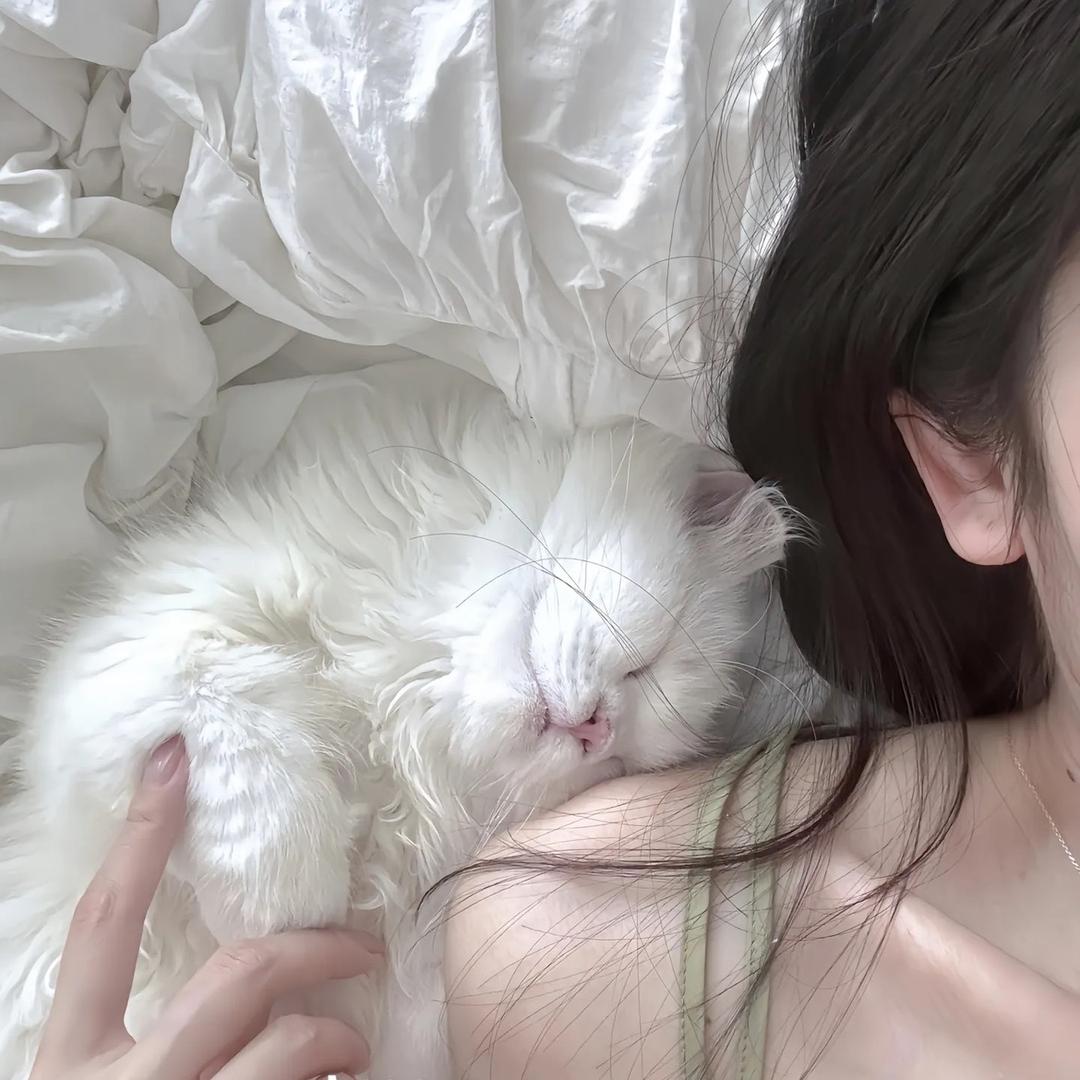 是你的李小姐呀🌸