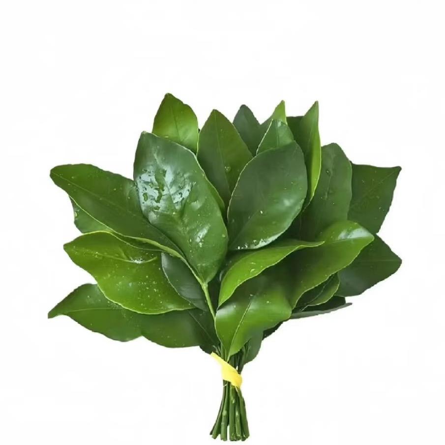 邓喜喜重庆火锅：）