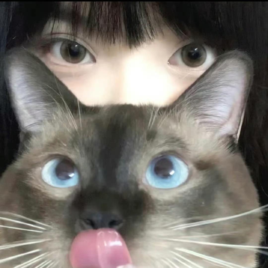 睡个好觉💤、