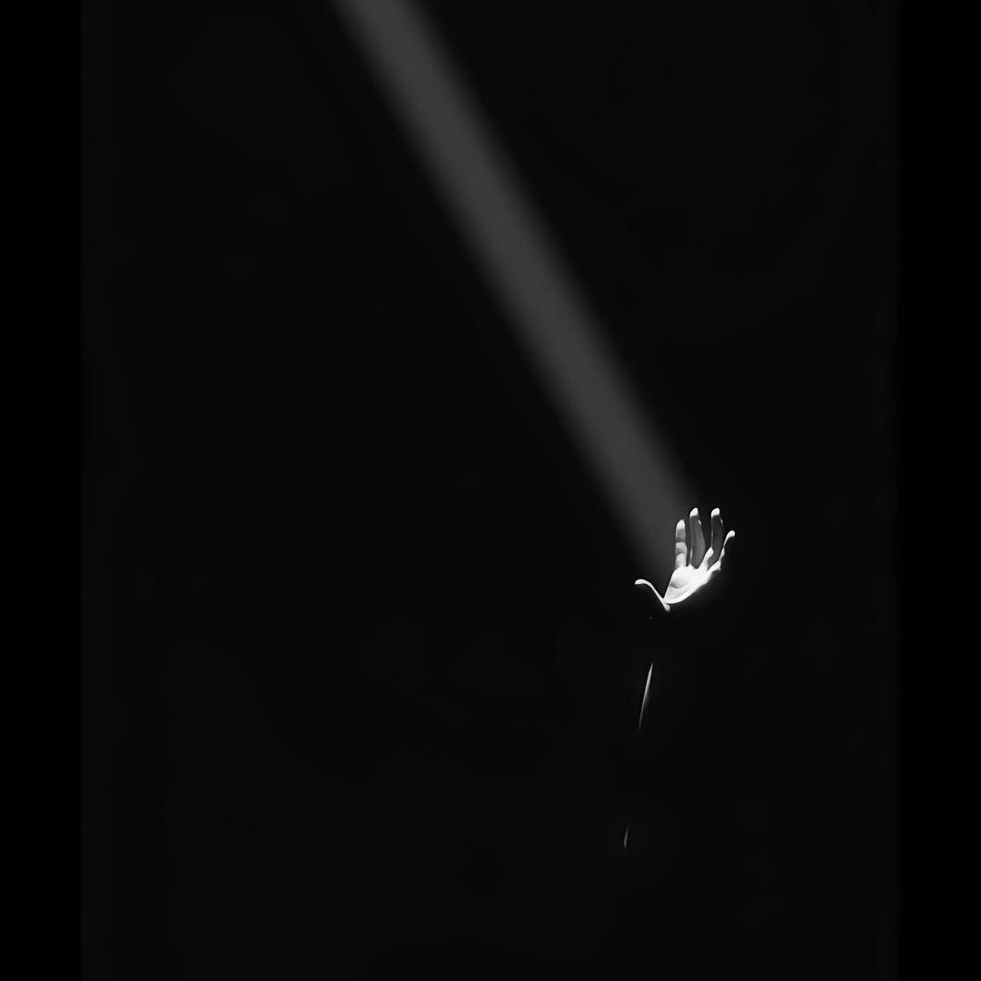 阿锦了个锦