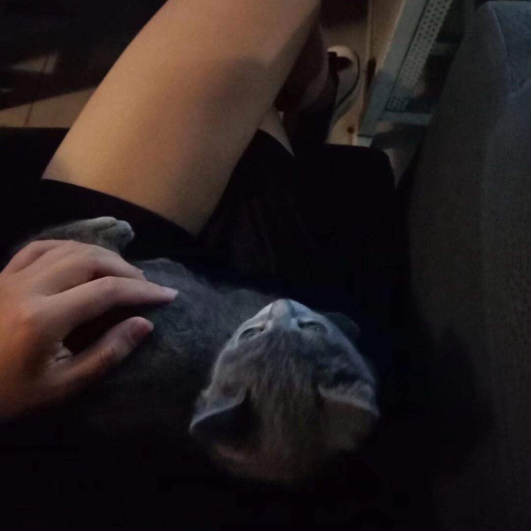 ………………111111