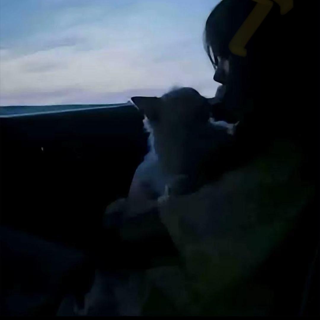 沅